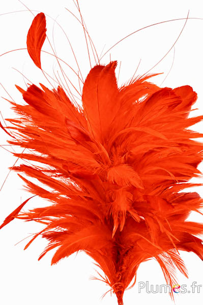 Plume Haan - hoogte 30 cm - oranje-rood